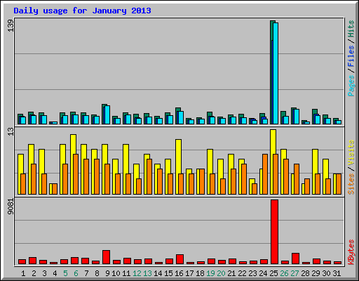 Daily usage for January 2013