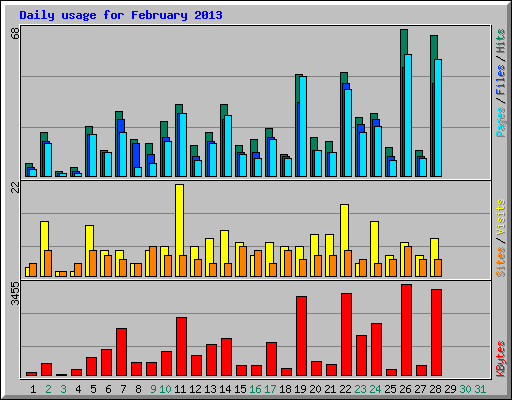 Daily usage for February 2013