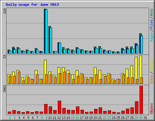 Daily usage for June 2013