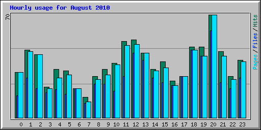Hourly usage for August 2010