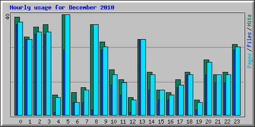 Hourly usage for December 2010