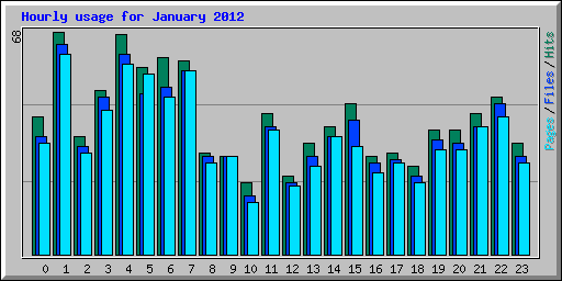 Hourly usage for January 2012