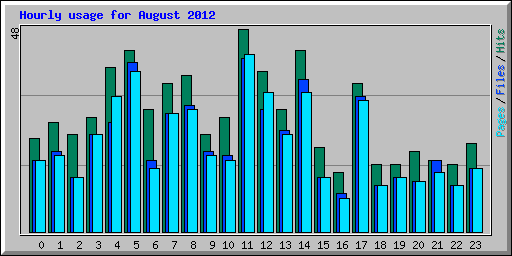 Hourly usage for August 2012
