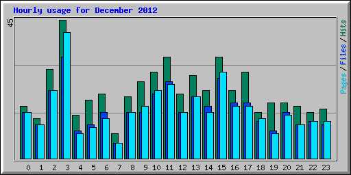 Hourly usage for December 2012