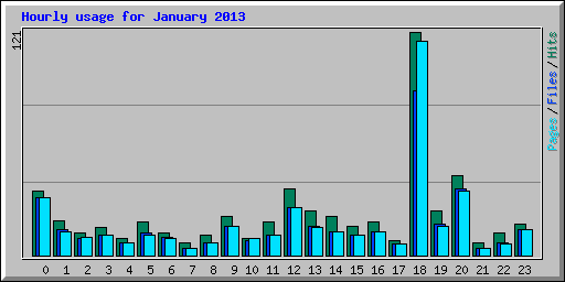 Hourly usage for January 2013