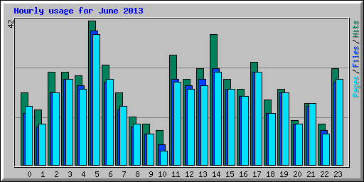 Hourly usage for June 2013