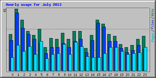 Hourly usage for July 2013