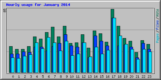 Hourly usage for January 2014
