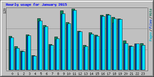 Hourly usage for January 2015