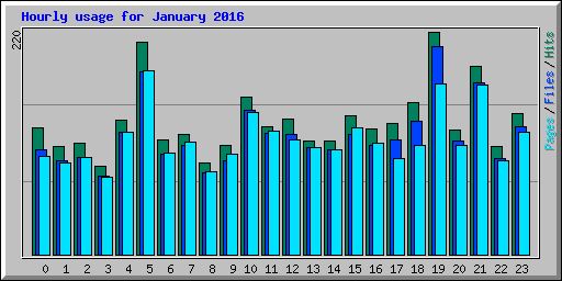 Hourly usage for January 2016